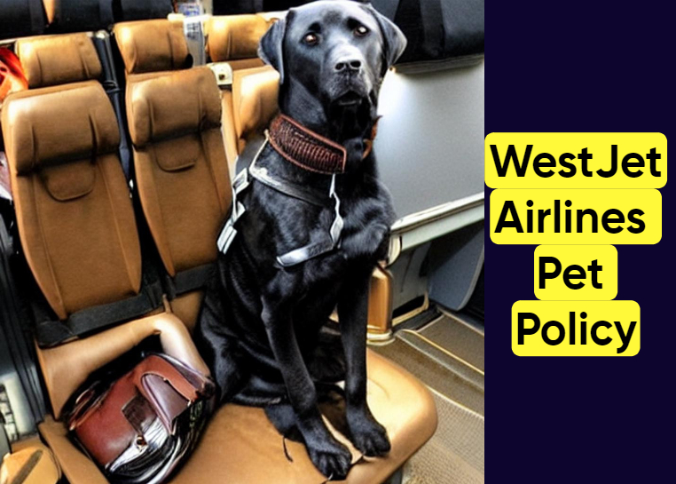 WestJet Airlines Pet Policy